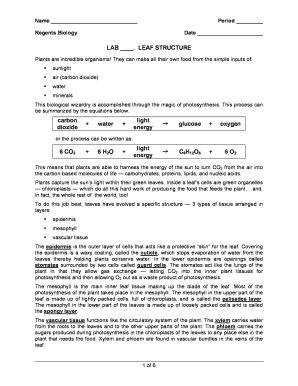 Leaf Structure Lab Answer Key  Form