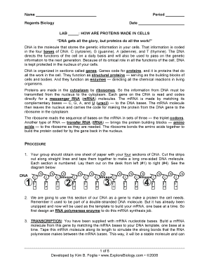 Lab Protein Synthesis Transcription and Translation Answer Key  Form