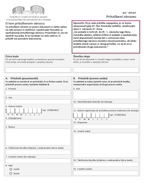 Echr Applicstion Form in Word