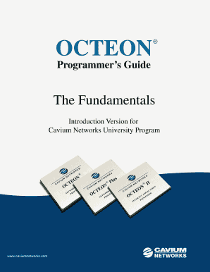 Cavium Octeon Programmer S Guide  Form