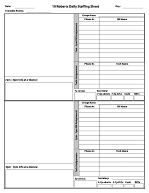 Daily Staffing Sheet  Form