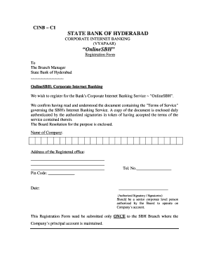 Cinb C1 Form PDF