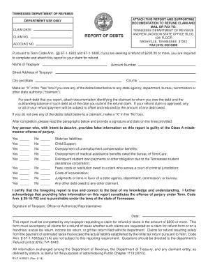 Tn Report of Debts  Form