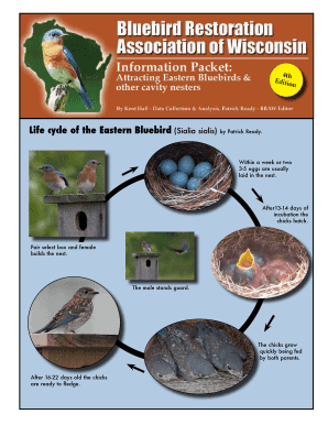 Eastern Bluebird Life Cycle  Form