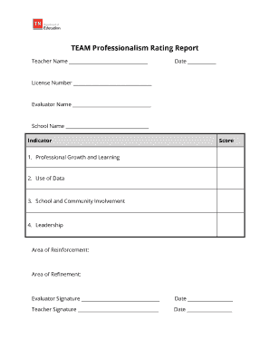 TEAM Professionalism Rating Report  Form