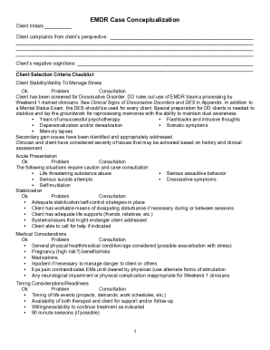 Emdr Case Conceptualization Example  Form