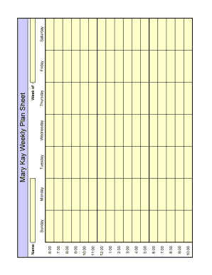 Mary Kay Weekly Plan Sheet  Form