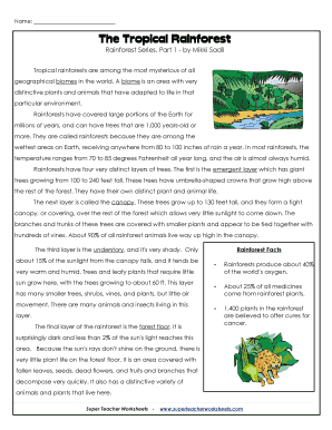 Rainforest Worksheets PDF  Form