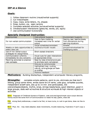 Iep at a Glance Template  Form