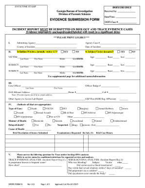  Georgia Form Evidence Submission Bureau 2015-2024