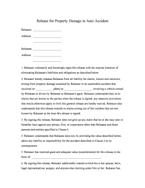 Accident Property  Form