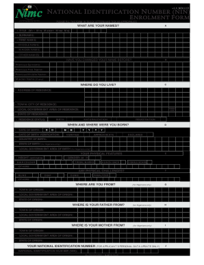 Nin Form PDF