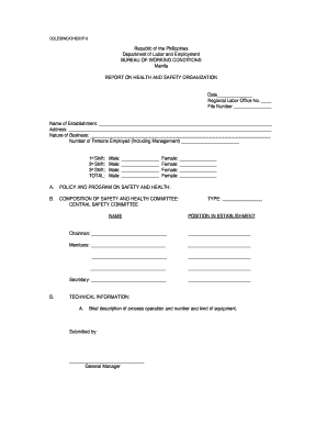 Report of Safety Organization Form
