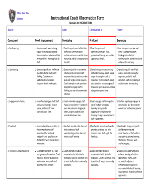 Teacher Coaching Plan Template PDF  Form