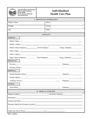 Individualized Health Care Plan Template  Form