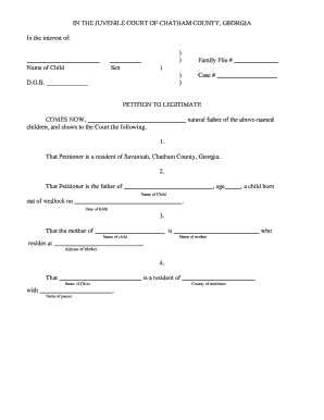 How to Legitimize a Child in Chatham County Georgia Form