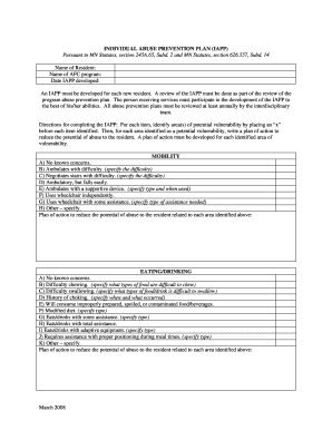Individual Abuse Prevention Plan Sample  Form