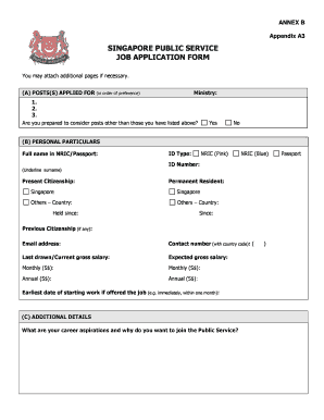 Public Service Job Application Form