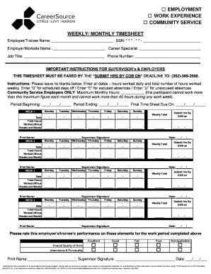 Syep Timesheet  Form