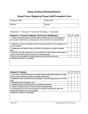 Performance Appraisal for Staff Nurse PDF