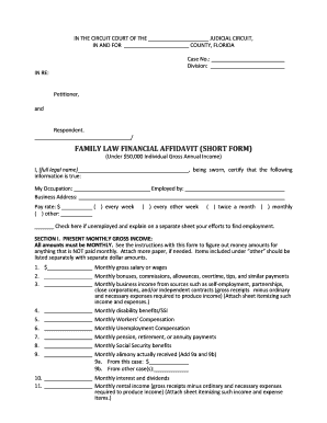 Financial Affidavit Florida  Form