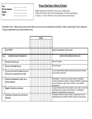 Wessex Head Injury Matrix Score Sheet  Form