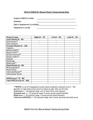 Mmt Chart  Form