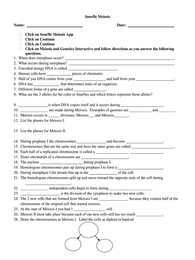 Snurfle Meiosis and Genetics Answer Key PDF  Form