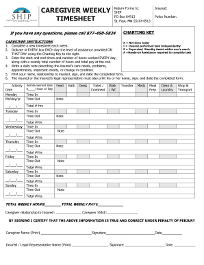 INDEPENDENT PROVIDER WEEKLY TIMESHEET  Form