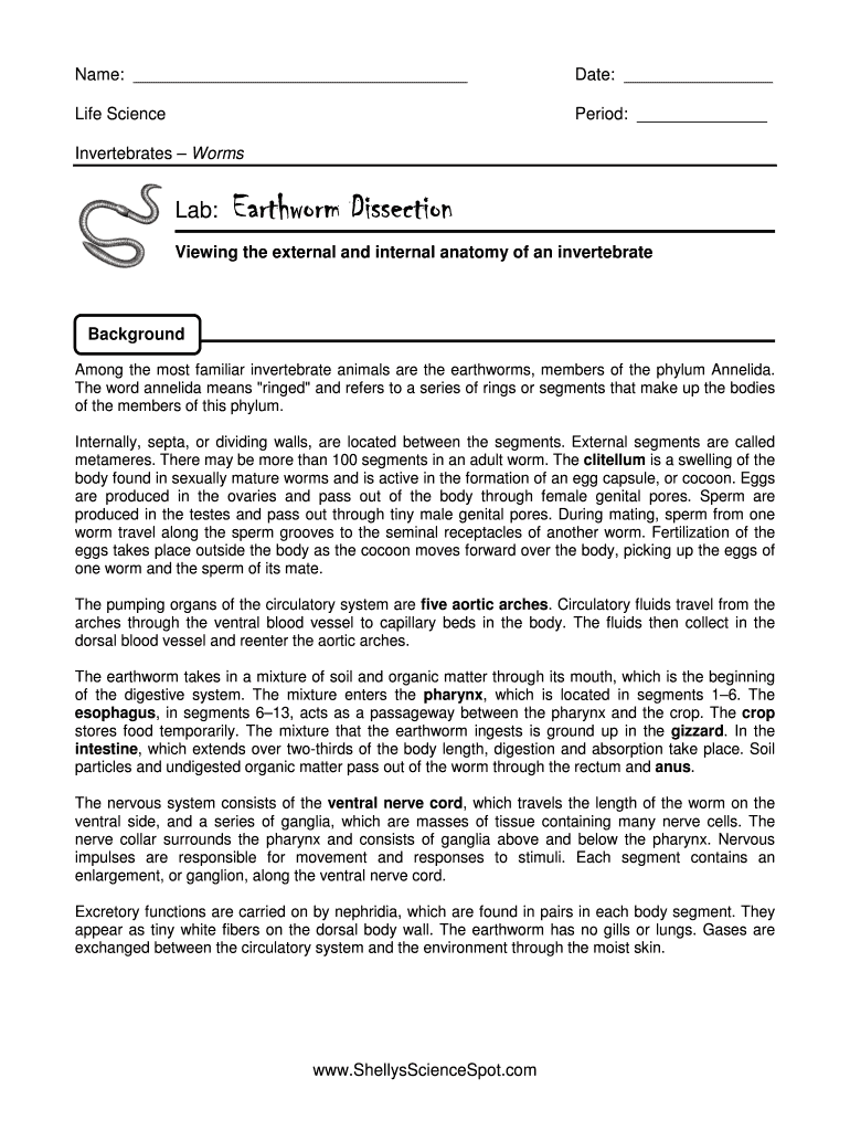 Shelly&#039;s Science Spot Earthworm Dissection Answers  Form