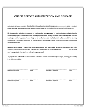 Credit Report Authorization Form