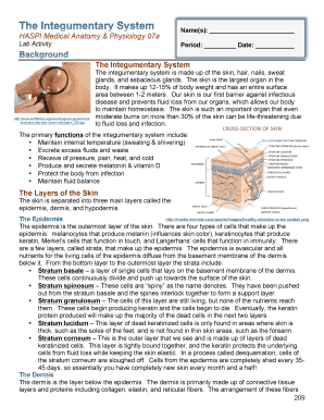 The Integumentary System Haspi Lab Activity Answers  Form