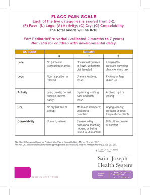 Flacc Pain Scale PDF  Form