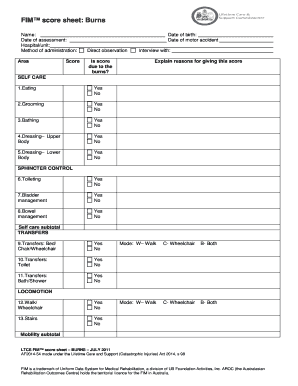 Fim Score Chart  Form