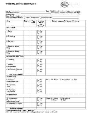 Weefim Assessment PDF  Form