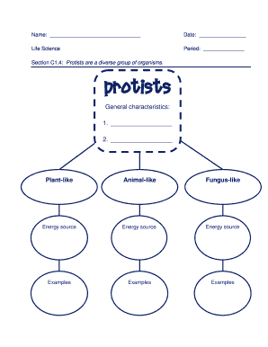 Protists Graphic Organizer  Form