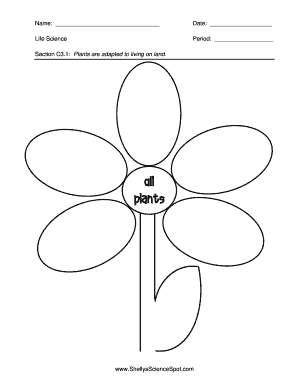 Plant Graphic Organizer  Form