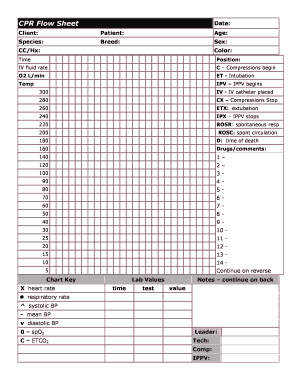 Cpr Flow Sheet  Form