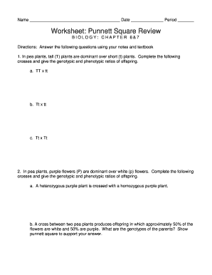 Pea Plant Punnett Squares Worksheet Answer Key  Form