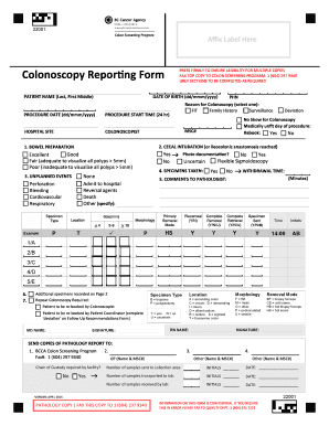 Colonoscopy Report Format
