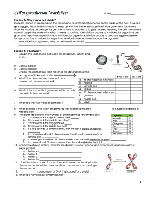 Cell Reproduction Worksheet  Form