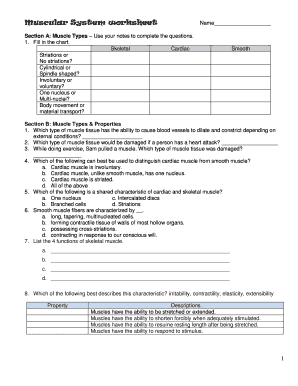 Muscular System Worksheet PDF  Form