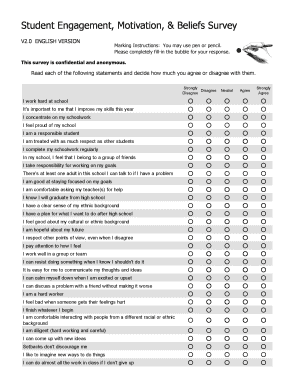 Student Motivation Survey Questionnaire PDF  Form