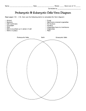 Prokaryotic Eurkaryotic Venn Diagram Www2 Mbusd  Form