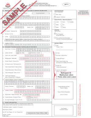 Dp11 Form