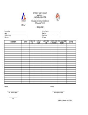 SPES Form 7 TERMINAL REPORT Dole Car