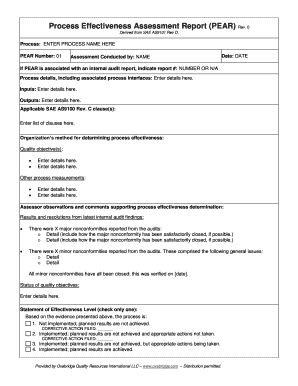 Process Effectiveness Assessment Report Example  Form