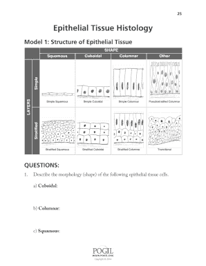 Epithelial Tissue Histology Pogil Answer Key  Form