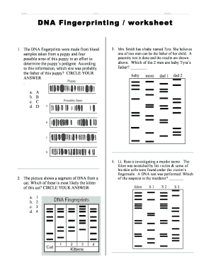 Dna Fingerprinting Worksheet Answer Key PDF  Form