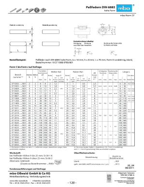 Din 6885 PDF  Form